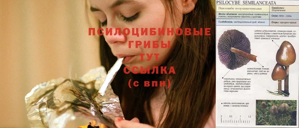 тгк Надым
